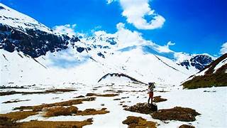 Yumthang Valley Honeymoon Tour